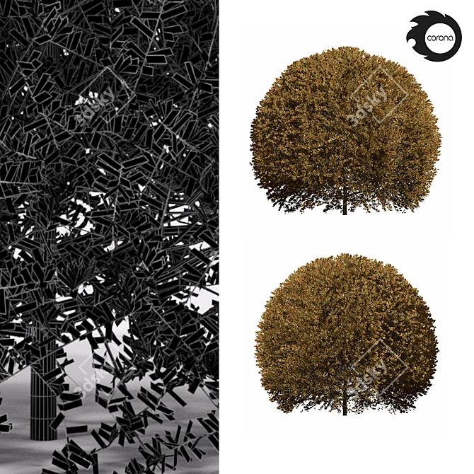 Realistic Tree Model - tree02 3D model image 3