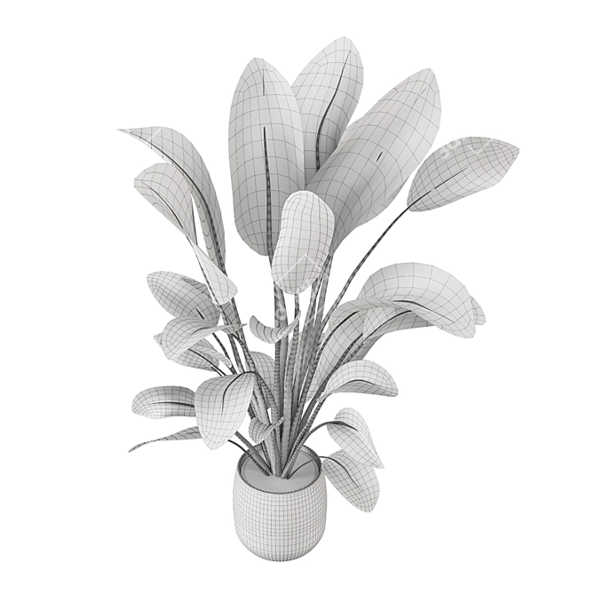 Green Oasis Indoor Plant Collection 3D model image 7