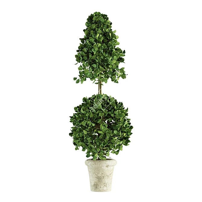 Concrete Pot Plants - Outdoor Greenery 3D model image 3