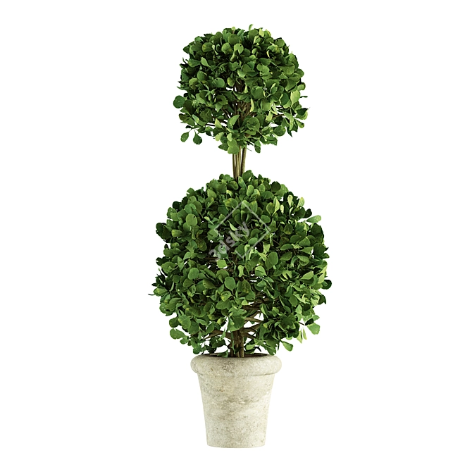 Concrete Pot Plants - Outdoor Greenery 3D model image 4