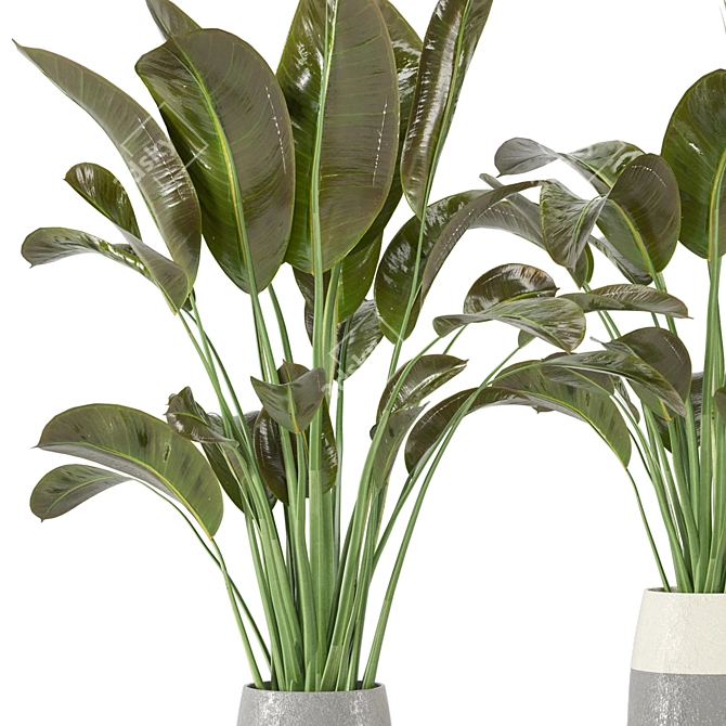 Indoor Greenery Collection - Set 113 3D model image 3