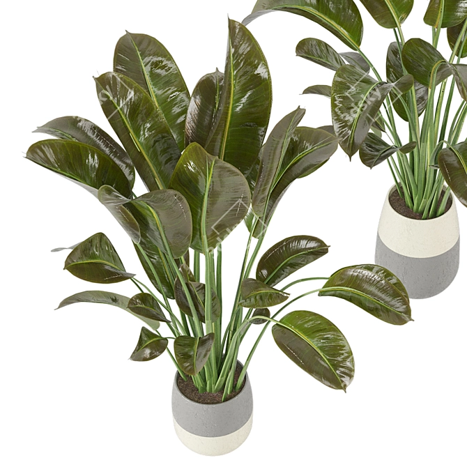 Indoor Greenery Collection - Set 113 3D model image 4