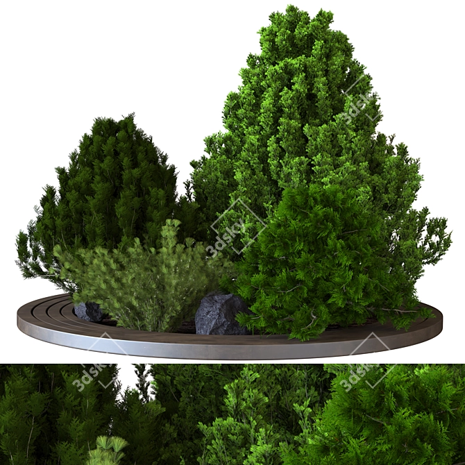 Outdoor Plant Collection Vol. 21 3D model image 2