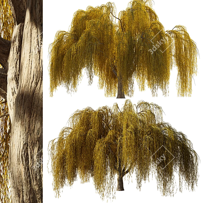 Serene Willow Tree Sculpture 3D model image 2