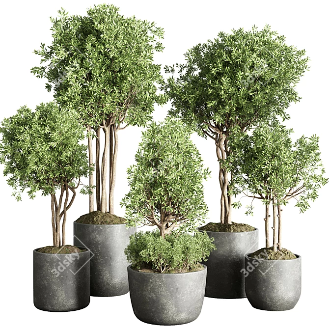 145-Piece Collection: Indoor/Outdoor Plant Tree Vase in Dirty Concrete 3D model image 1