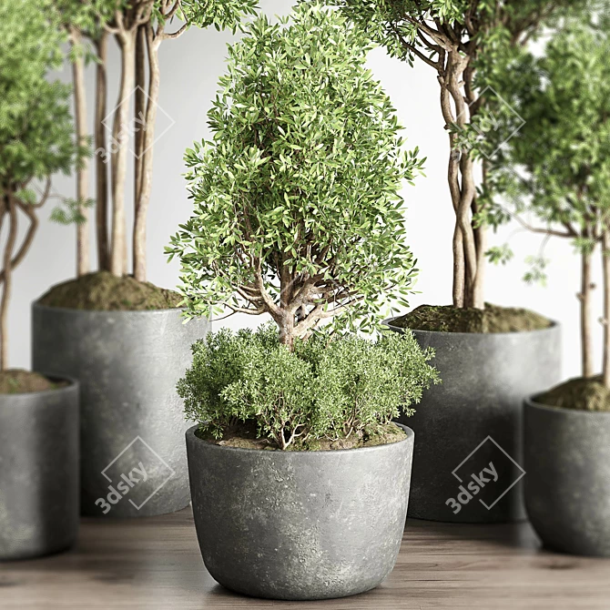 145-Piece Collection: Indoor/Outdoor Plant Tree Vase in Dirty Concrete 3D model image 6