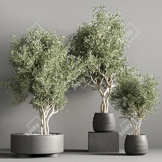 Premium Indoor Plant Stand - Minimalist Design 3D model image 4