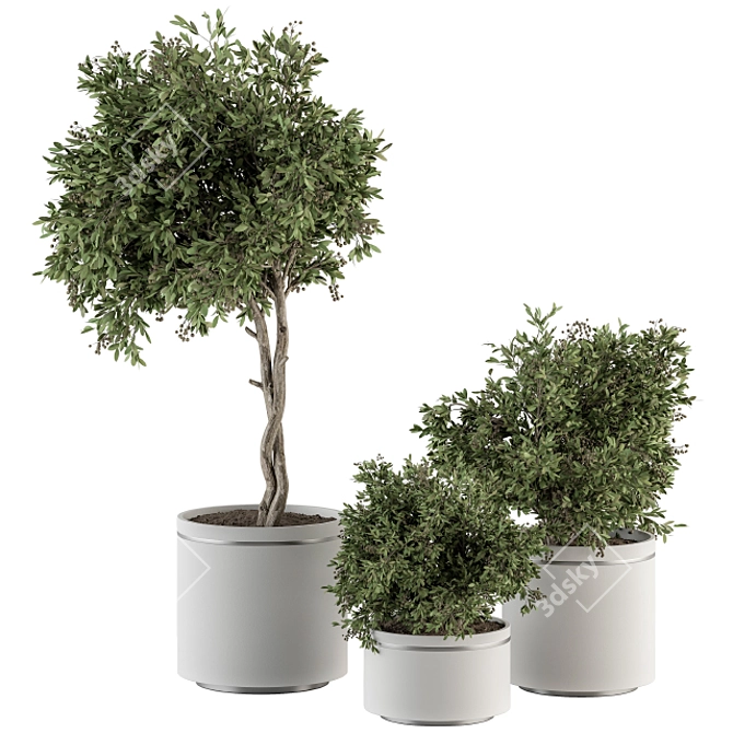 Bountiful Greens 311: Stylish Indoor Plant Set 3D model image 1