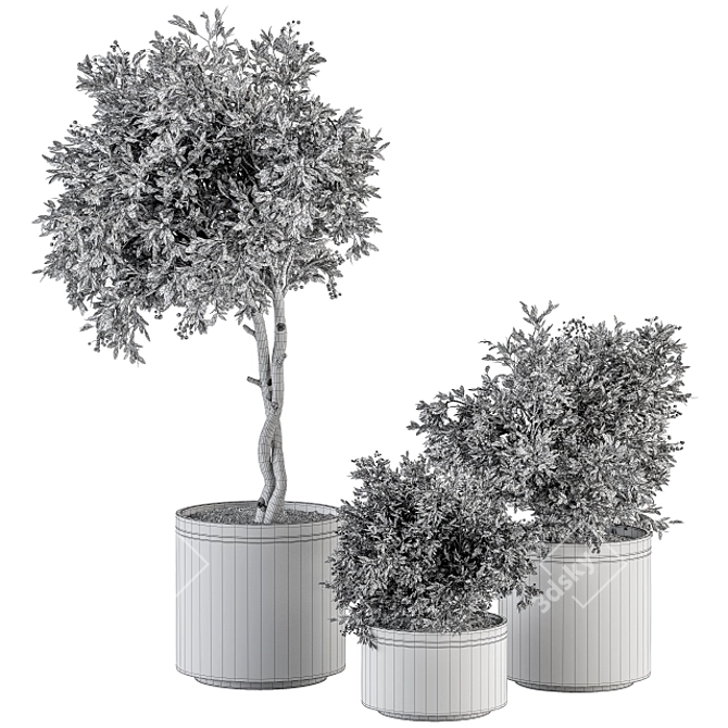 Bountiful Greens 311: Stylish Indoor Plant Set 3D model image 4