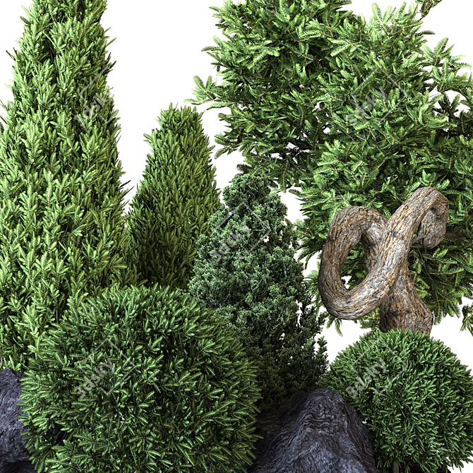 Outdoor Plant Collection Vol. 22: Versatile 3D Model 3D model image 2