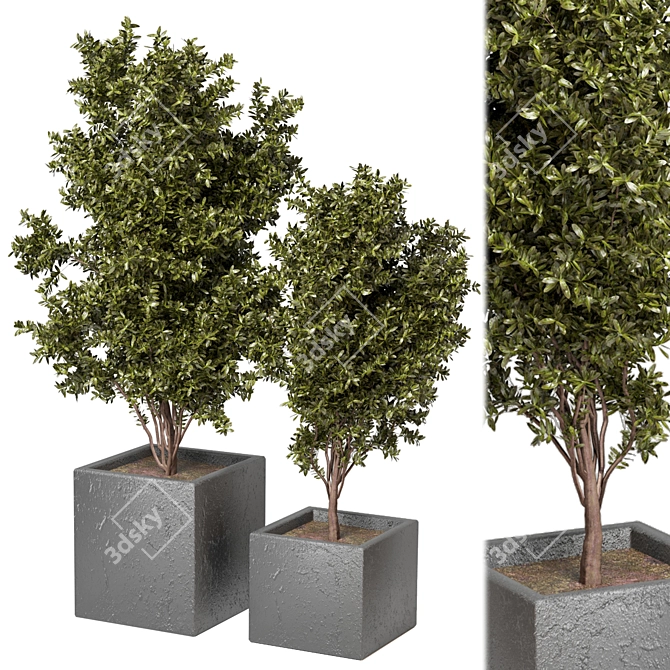  Vibrant Outdoor Plants Collection 3D model image 2