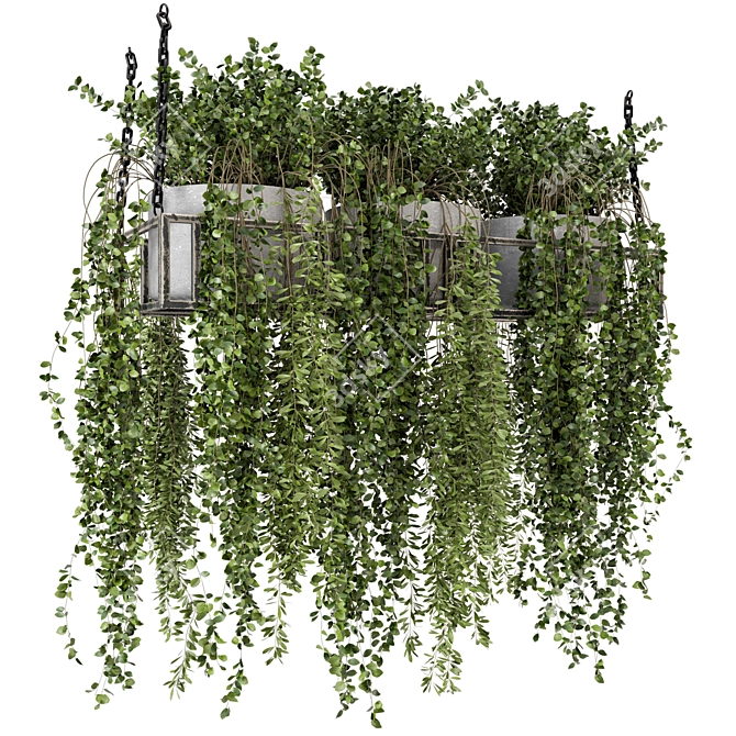 Metal Box Hanging Plants - Set 311 3D model image 1