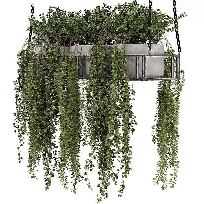 Metal Box Hanging Plants - Set 311 3D model image 2