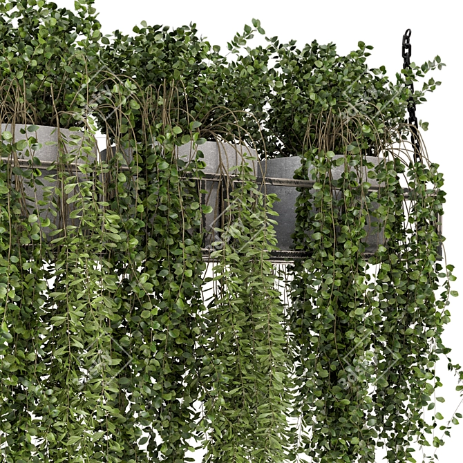 Metal Box Hanging Plants - Set 311 3D model image 4