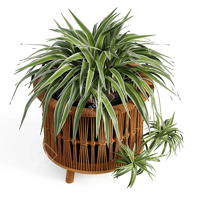 EcoRustic Planters Set 3D model image 3