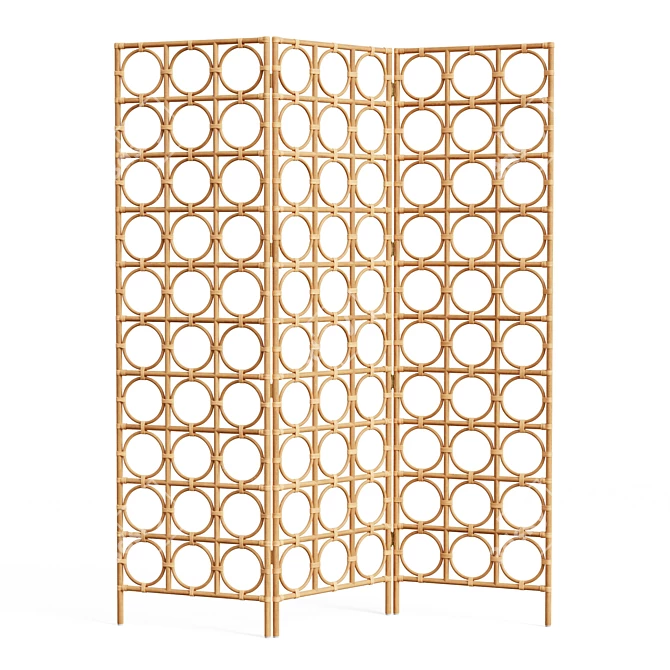 Vintage Rattan Room Divider 3D model image 1