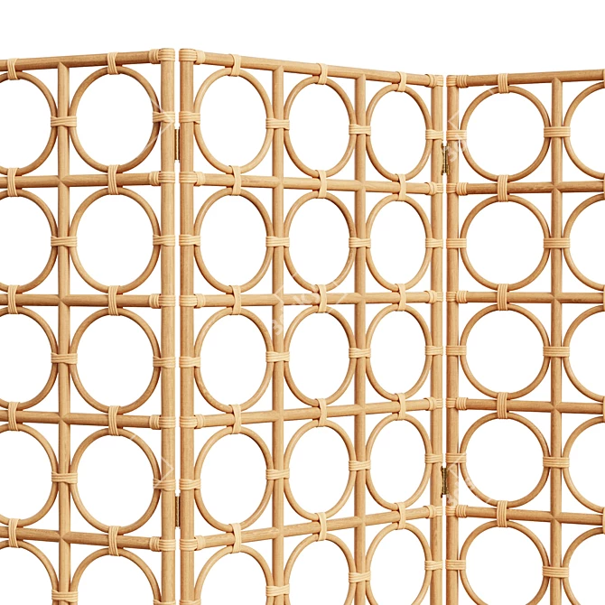 Vintage Rattan Room Divider 3D model image 5