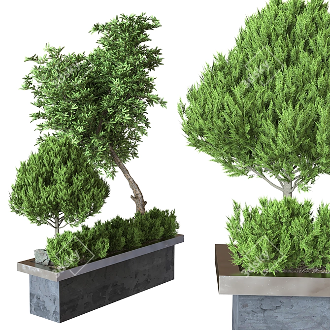 Outdoor Plant Collection Vol. 23 3D model image 1