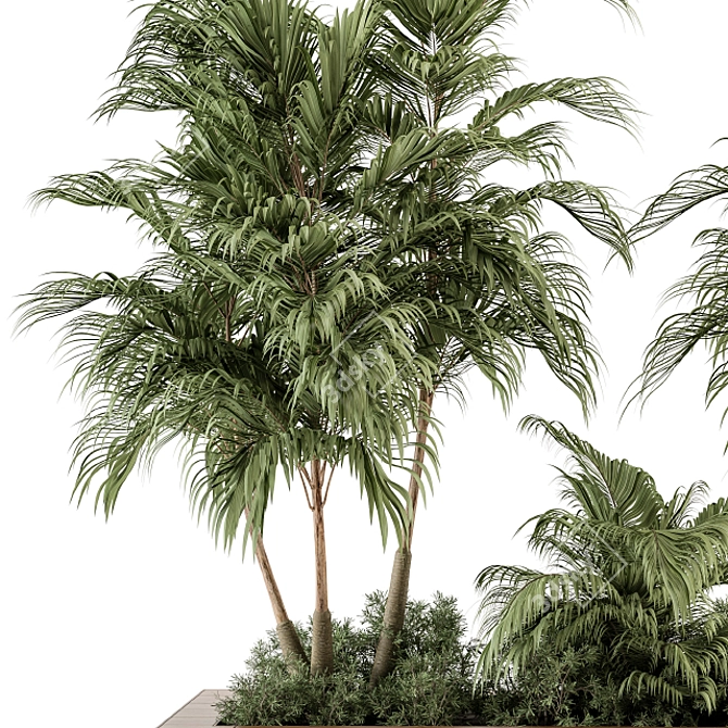 Tropical Oasis Outdoor Plant Set 3D model image 3