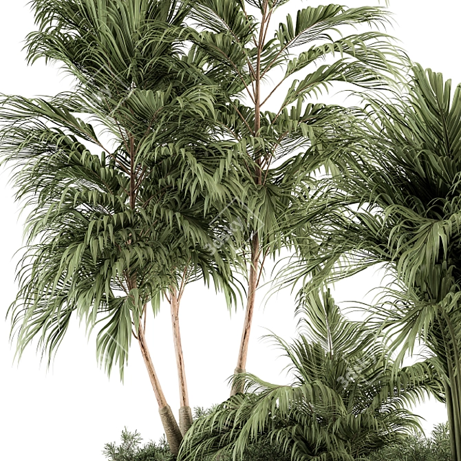 Tropical Oasis Outdoor Plant Set 3D model image 5