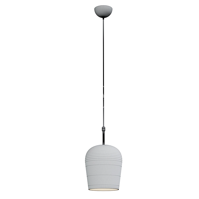 Elegant Fusion Pendant Lamp 3D model image 2