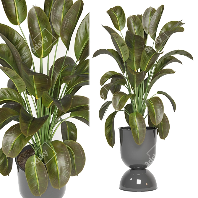 Indoor Oasis: Plant Collection 3D model image 2