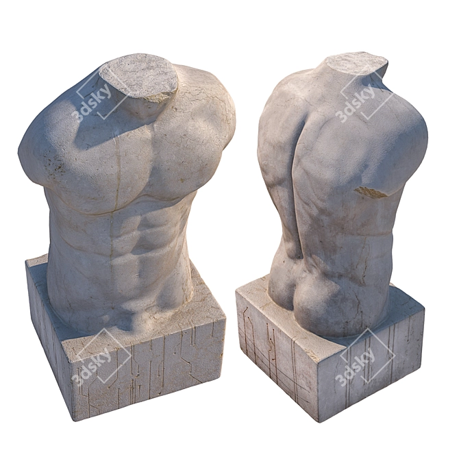 Sculpted Male Torso: 15" Tall, 3D Model 3D model image 2