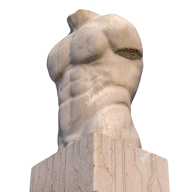 Sculpted Male Torso: 15" Tall, 3D Model 3D model image 3