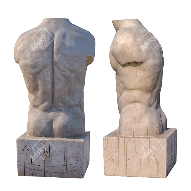 Sculpted Male Torso: 15" Tall, 3D Model 3D model image 4