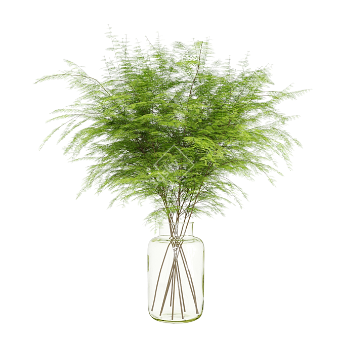 Lush Green Fern Bouquet 3D model image 1