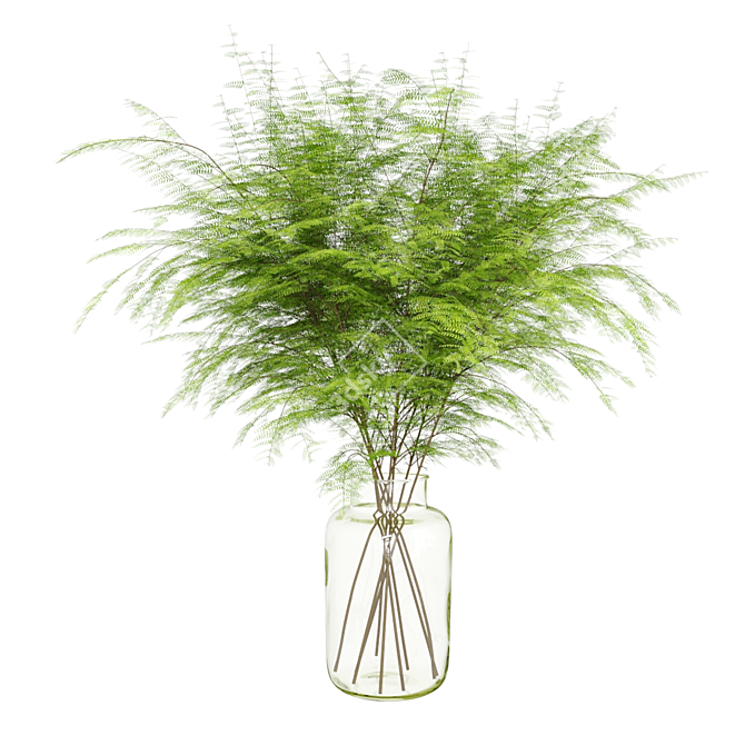 Lush Green Fern Bouquet 3D model image 2