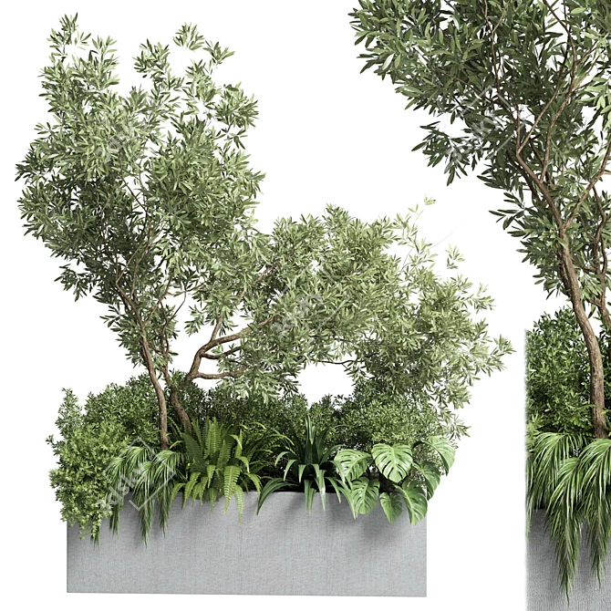 Outdoor Plant Collection: 68 Pot Plant Bush Grass and Tree Palm Concrete Vase 3D model image 1