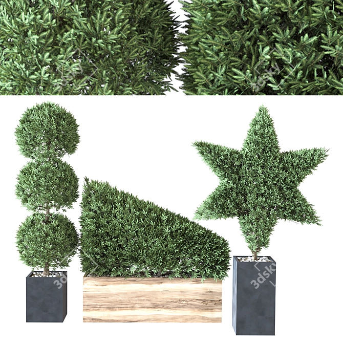 Bush Vol. 02 - 2015 Edition 3D model image 1