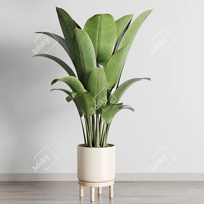 Ficus Rubber Plant in Wooden Vase 3D model image 1