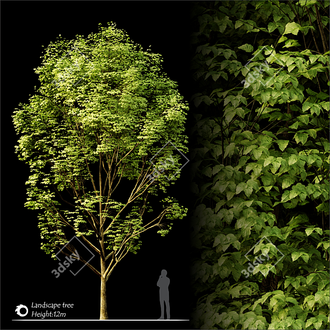 Elevated Evergreen Landscape Tree 3D model image 1