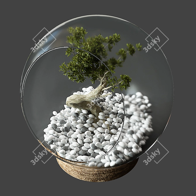 Miniature Glass Globe with Little Tree 3D model image 2