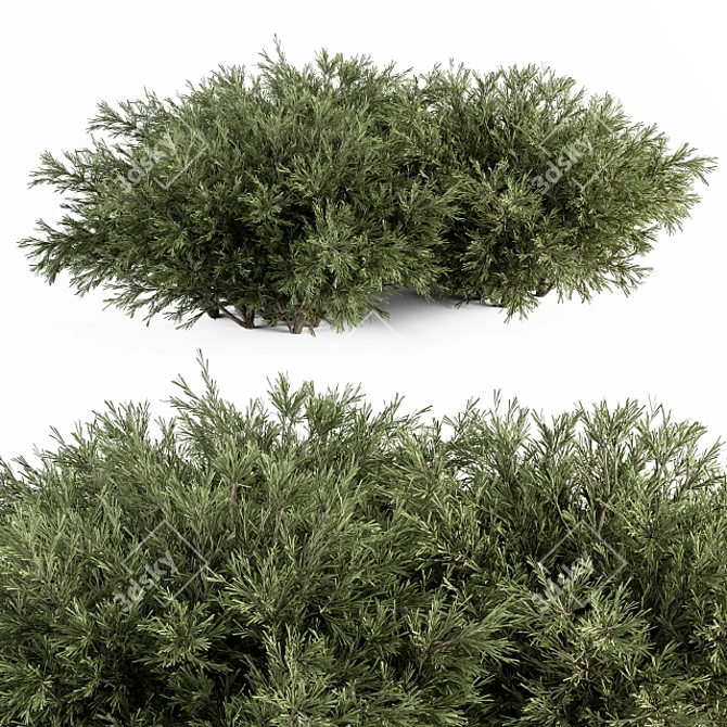 Needle Plant Set - 46 Bushes 3D model image 1