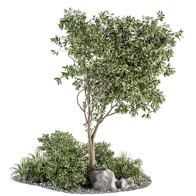 Evergreen Oasis - Outdoor Garden Set 3D model image 1