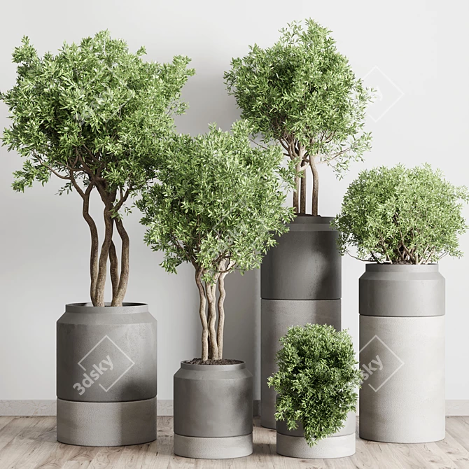 Concrete Vase Pot Collection: 61 Indoor & Outdoor Plants 3D model image 2
