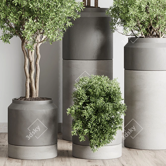 Concrete Vase Pot Collection: 61 Indoor & Outdoor Plants 3D model image 4