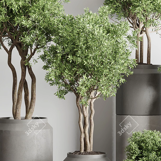 Concrete Vase Pot Collection: 61 Indoor & Outdoor Plants 3D model image 6