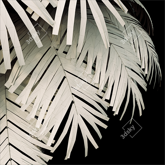 Tropical Paradise Palm Tree 3D model image 3