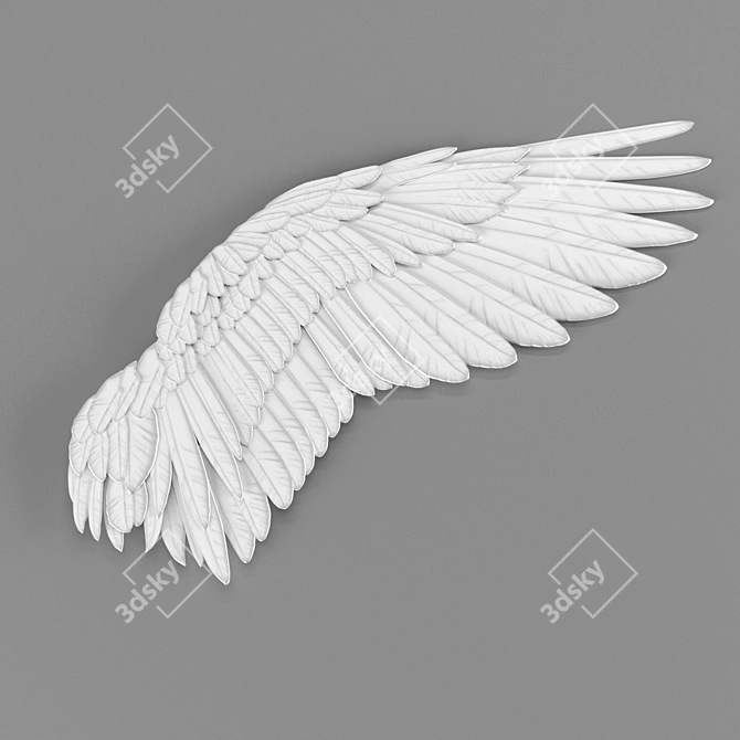 Feathered Elegance: Wing Decor 3D model image 1