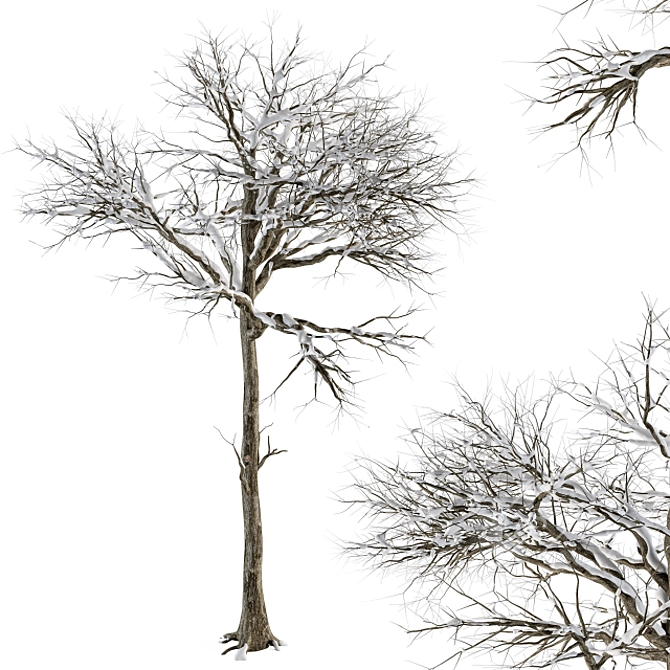 Frosty Wonderland Tree - Set 58 3D model image 1