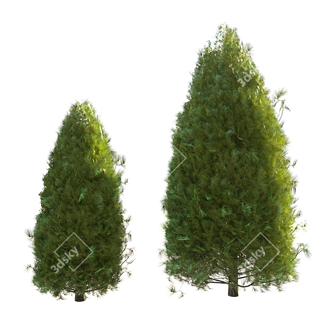 Pine Tree 03: Perfect for Landscaping 3D model image 1