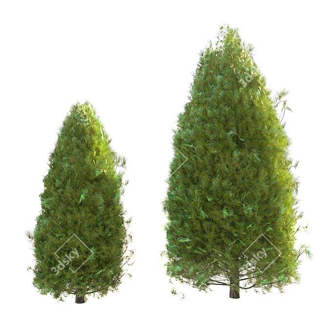 Pine Tree 03: Perfect for Landscaping 3D model image 3