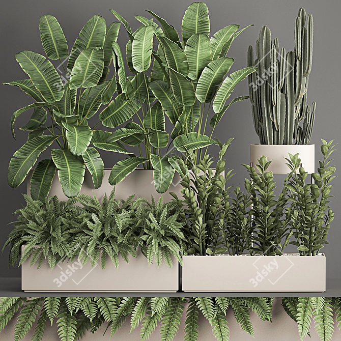 Exotic Plant Collection: Decorative Palms, Ferns, Cacti & More 3D model image 1