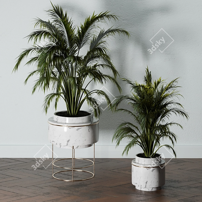 Lush Indoors: Fern Duo 3D model image 2