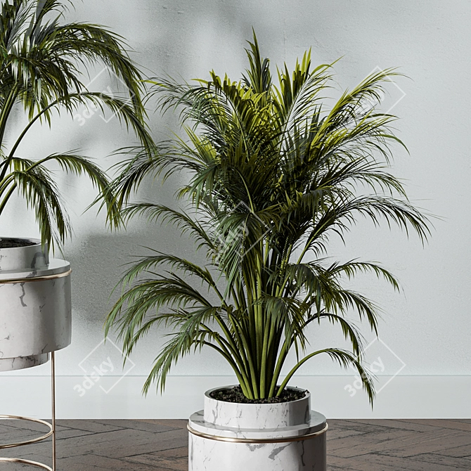 Lush Indoors: Fern Duo 3D model image 4