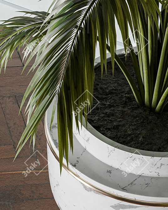 Lush Indoors: Fern Duo 3D model image 5